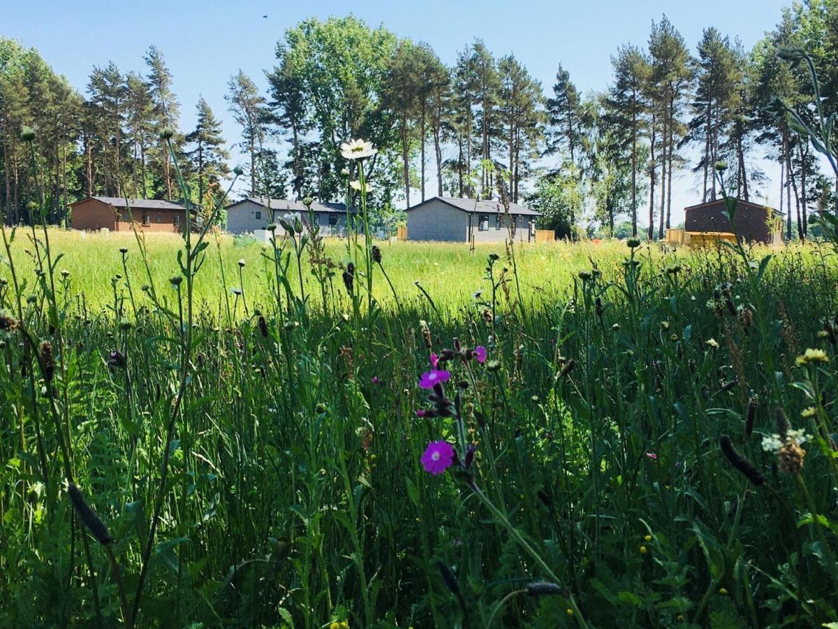 Hollicarrs - Wildflower Lodge Йорк Екстер'єр фото