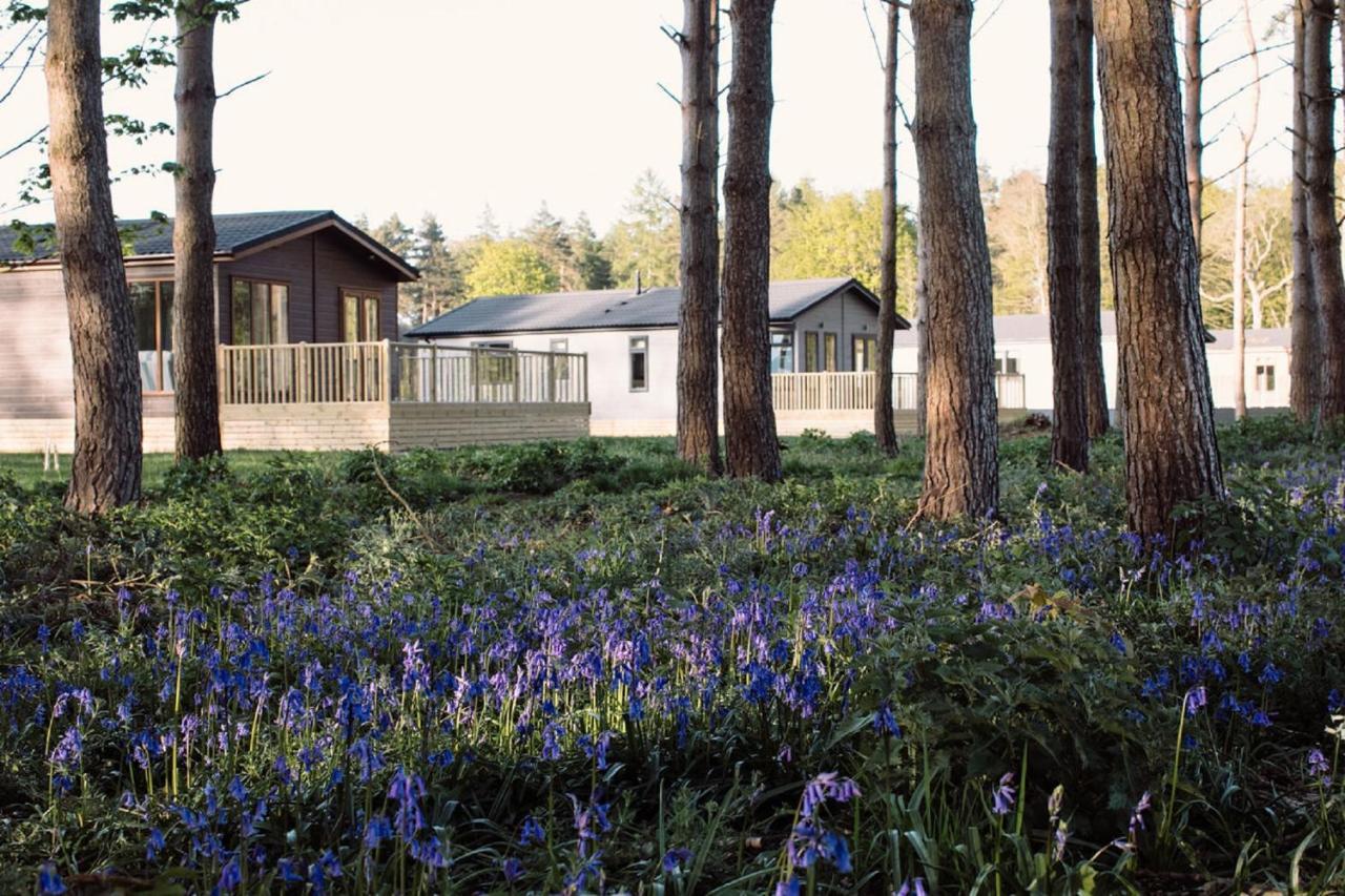Hollicarrs - Wildflower Lodge Йорк Екстер'єр фото