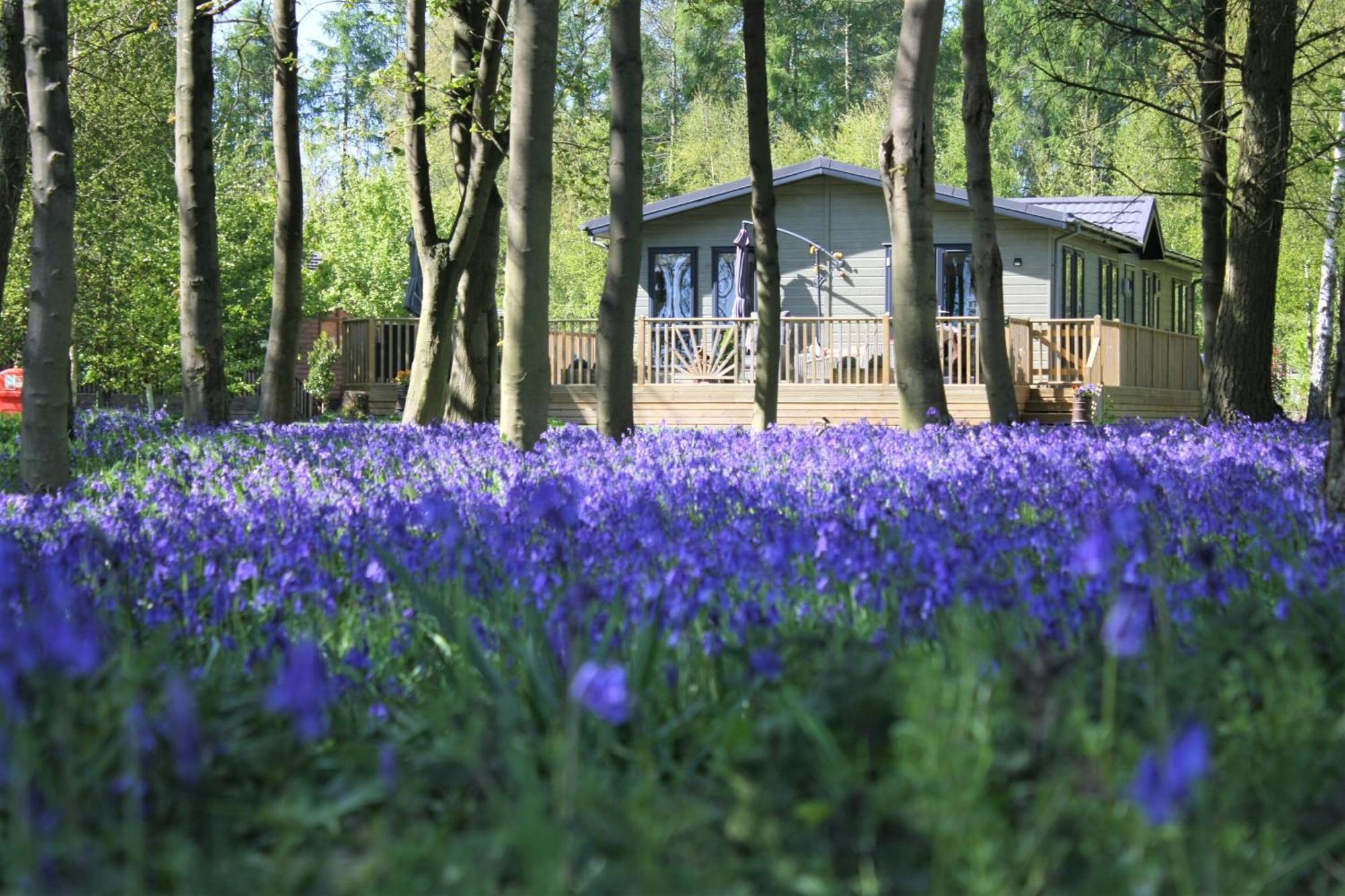 Hollicarrs - Wildflower Lodge Йорк Екстер'єр фото